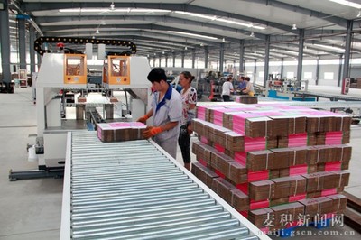 成少平督查东柯新城重点项目建设 聚焦旅游景区配套设施，助力区域文旅发展