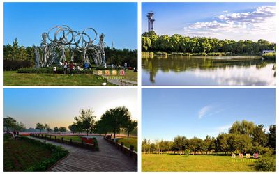 健步奥森，凝心聚力 主题团建与景区配套服务的双赢发展