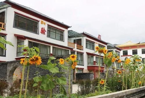 甘肃天祝天堂村 以配套建设为引擎，激活乡村旅游新动能